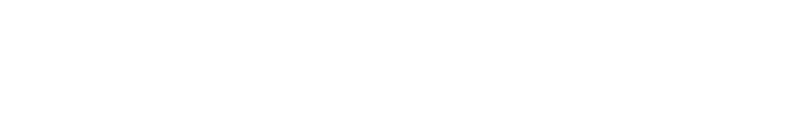 the project